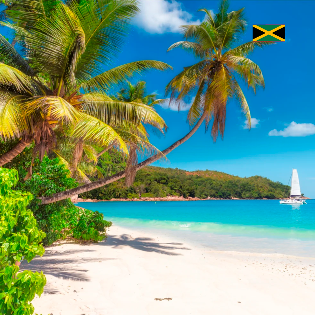This image has an empty alt attribute; its file name is Caribbean-1024x1024.png